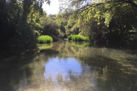 Casa Bela Esperança, Vieille ferme à Soudos Lisbonne avec piscine - Photo 24