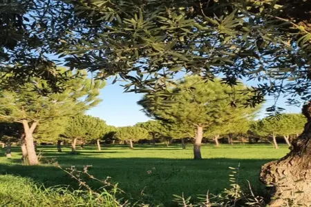 Casa Bela Esperança, Vieille ferme à Soudos Lisbonne avec piscine - Photo 28