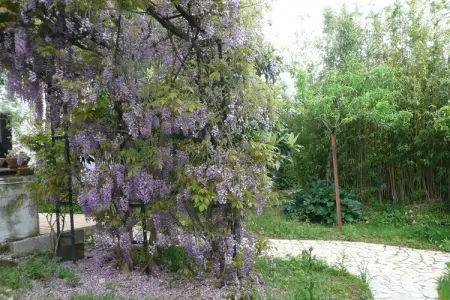 Casa Bela Esperança, Ferme א Soudos avec jardin - Photo 35