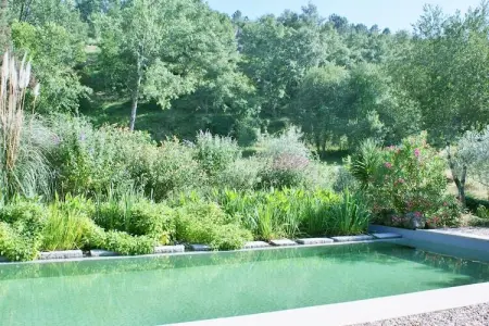 Casa Retiro, Gîte de campagne idyllique avec forêt - Photo 13