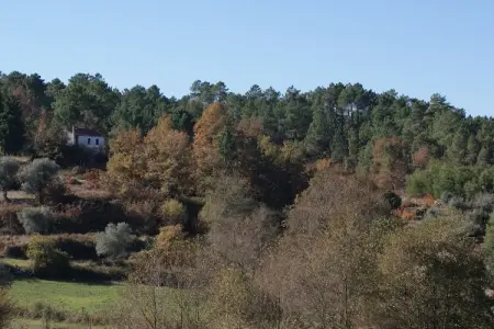 Casa Retiro, Gîte de campagne idyllique avec forêt - Photo 18