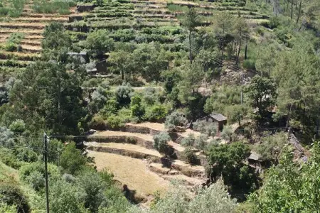 Casa Retiro, Gîte de campagne idyllique avec forêt - Photo 24