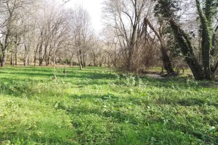 Casa Retiro, Gîte de campagne idyllique avec forêt - Photo 29