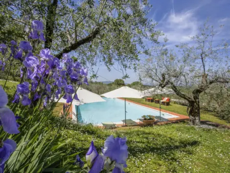 Le Poggiole, Gite 4 personnes à Montevarchi - Photo 18