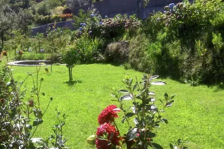 Casita da Lavandeira, Gîte rural avec jardin privé et barbecue - Photo 28