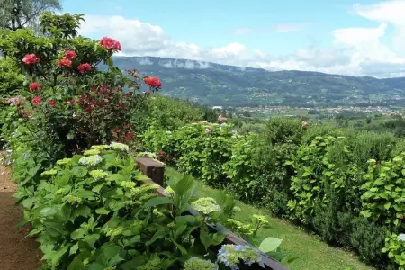 Casita da Lavandeira, Gîte rural avec jardin privé et barbecue - Photo 29
