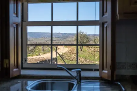 Casa do Alambique, Magnifique maison de vacances à Vila Flor avec piscine - Photo 9