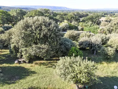 La Chênaie, Villa 7 personnes à L'isle sur la Sorgue - Photo 31