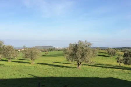 Casa das Flores, Ferme partagée près de Serra Monfuradoca - Photo 19