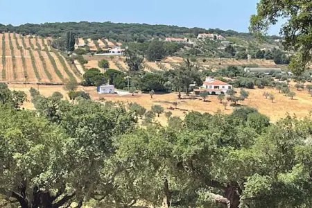 Casa das Flores, Ferme partagée près de Serra Monfuradoca - Photo 22