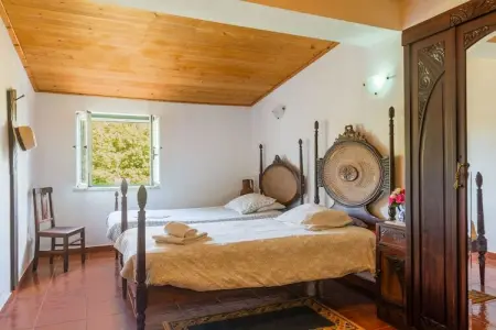 Casa de Olival, Maison de campagne viticole en Alentejo - Photo 4