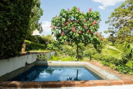 Casa de Olival, Maison de campagne viticole en Alentejo - Photo 12