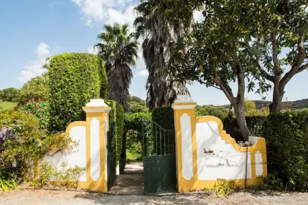 Casa de Olival, Maison de campagne viticole en Alentejo - Photo 15
