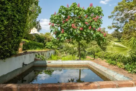 Casa da Figeira, Rêves de ferme : explorez et détendez-vous - Photo 10