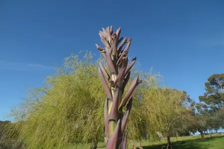 Casa da Figeira, Rêves de ferme : explorez et détendez-vous - Photo 12