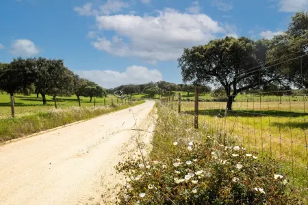 Casa da Figeira, Rêves de ferme : explorez et détendez-vous - Photo 25