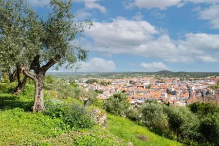 Casa da Figeira, Rêves de ferme : explorez et détendez-vous - Photo 27