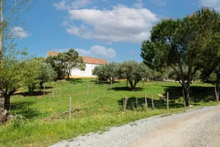 Casa da Figeira, Rêves de ferme : explorez et détendez-vous - Photo 29