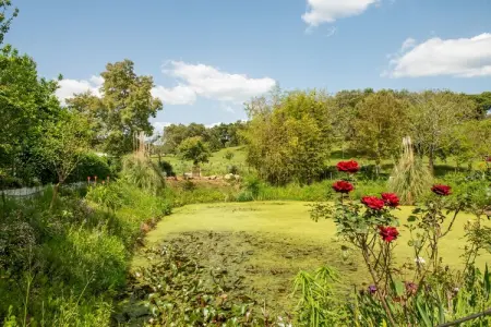 Casa da Figeira, Rêves de ferme : explorez et détendez-vous - Photo 32