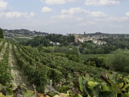 Villa Carlotta, Maison 8 personnes à Costigliole d'Asti - Photo 41