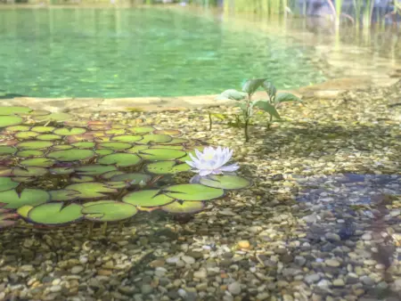 Angelina, Maison 6 personnes à Labin - Photo 26