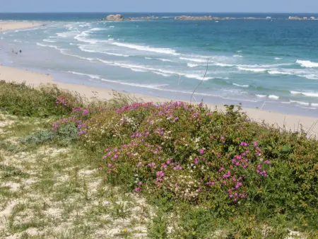 Brise Marine, Maison 6 personnes à Cléder - Photo 31