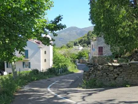 Maison Balbi, Maison 6 personnes à Canari - Photo 30