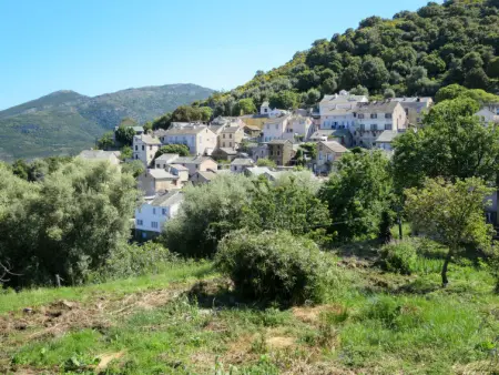 Maison Balbi, Maison 6 personnes à Canari - Photo 31