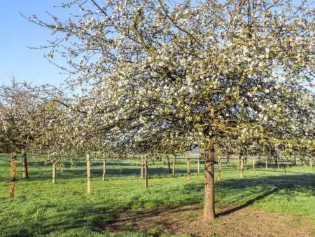 La Prairie, Maison 3 personnes à Corbon - Photo 10