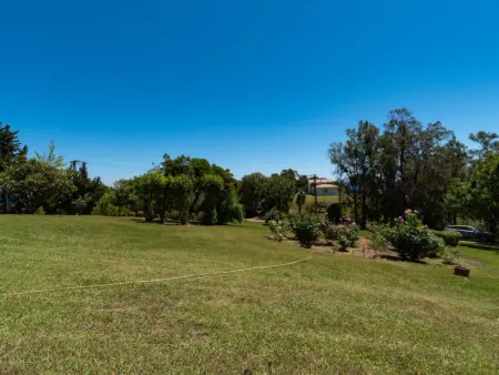 Maison Josée, Maison 4 personnes à Cervione Castagniccia - Photo 18