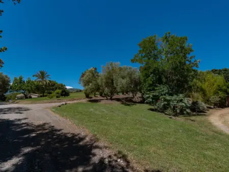 Maison Josée, Maison 4 personnes à Cervione Castagniccia - Photo 23
