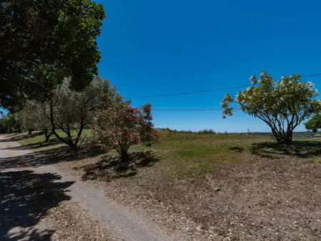 Maison Josée, Maison 4 personnes à Cervione Castagniccia - Photo 25