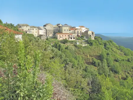 Maison Josée, Maison 4 personnes à Cervione Castagniccia - Photo 28