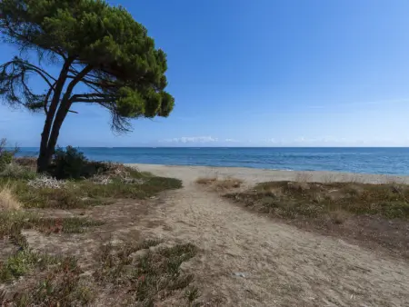 Maison Josée, Maison 4 personnes à Cervione Castagniccia - Photo 34