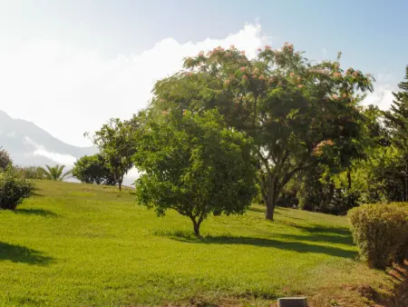 Maison Christian, Maison 6 personnes à Cervione Castagniccia - Photo 28