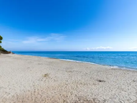 Maison Christian, Maison 6 personnes à Cervione Castagniccia - Photo 38