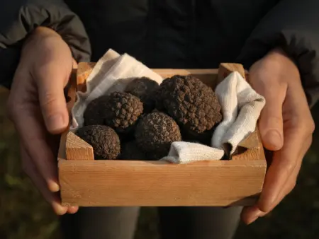 Nevenka, Maison 10 personnes à Motovun - Photo 34