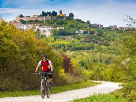 Nevenka, Maison 10 personnes à Motovun - Photo 36