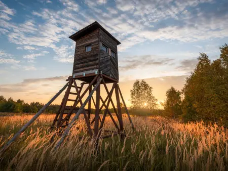 Nevenka, Maison 10 personnes à Motovun - Photo 38