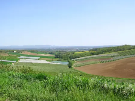 Touzy, Gite 10 personnes à L'Honor de Cos - Photo 4