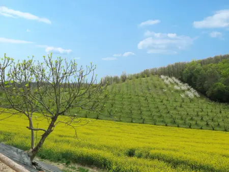 Touzy, Gite 10 personnes à L'Honor de Cos - Photo 20