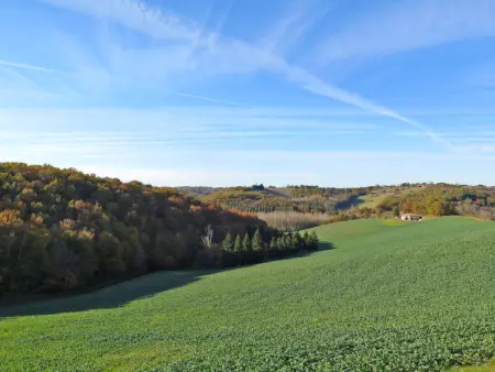 Touzy, Gite 10 personnes à L'Honor de Cos - Photo 21