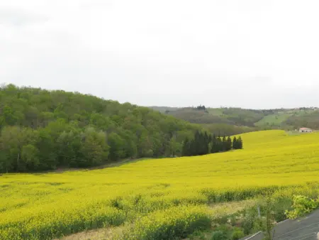 Touzy, Gite 10 personnes à L'Honor de Cos - Photo 25