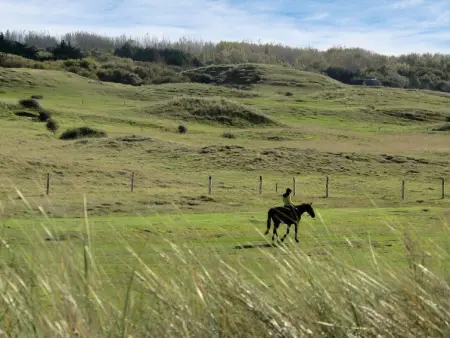 Les Mouettes, Maison 8 personnes à Hauteville sur Mer - Photo 18