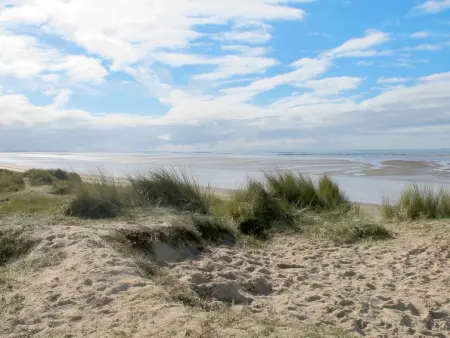 Les Mouettes, Maison 8 personnes à Hauteville sur Mer - Photo 19