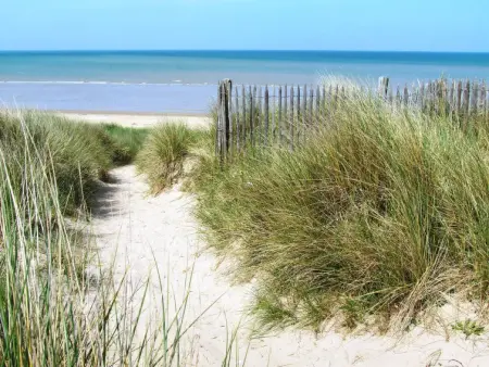 Les Mouettes, Maison 8 personnes à Hauteville sur Mer - Photo 22