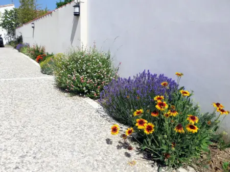 La Touche, Maison 2 personnes à Ile de Re - Photo 15