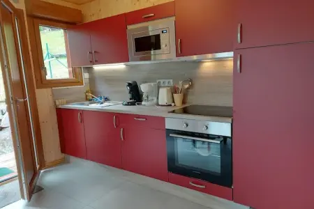 La Salamandre, Chalet à St Maurice près du Ballon d'Alsace - Photo 2