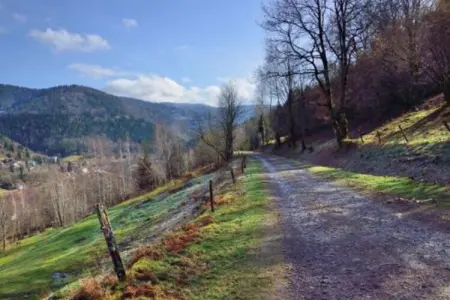 La Coccinelle, Chalet à St. Maurice près du Ballon d'Alsace - Photo 22