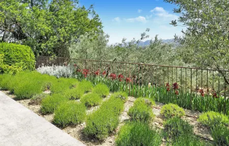 Carraire De Micoulari, Maison 6 personnes à Saint Rémy De Provence - Photo 15
